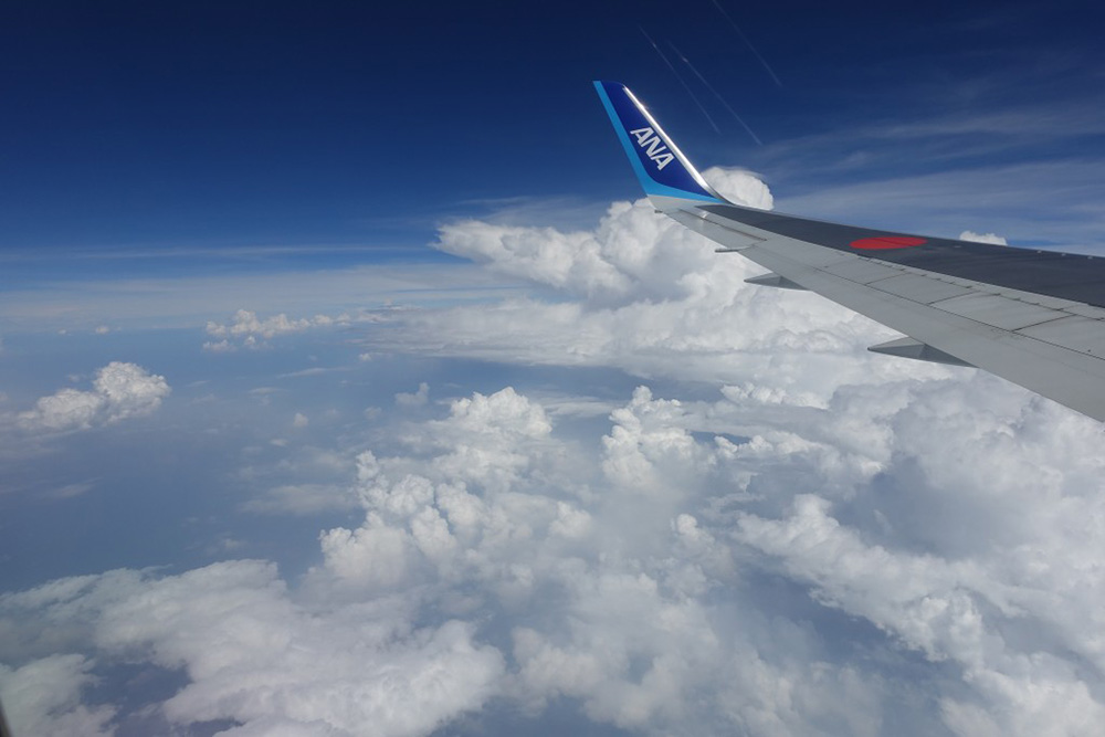 ANA Aircraft
