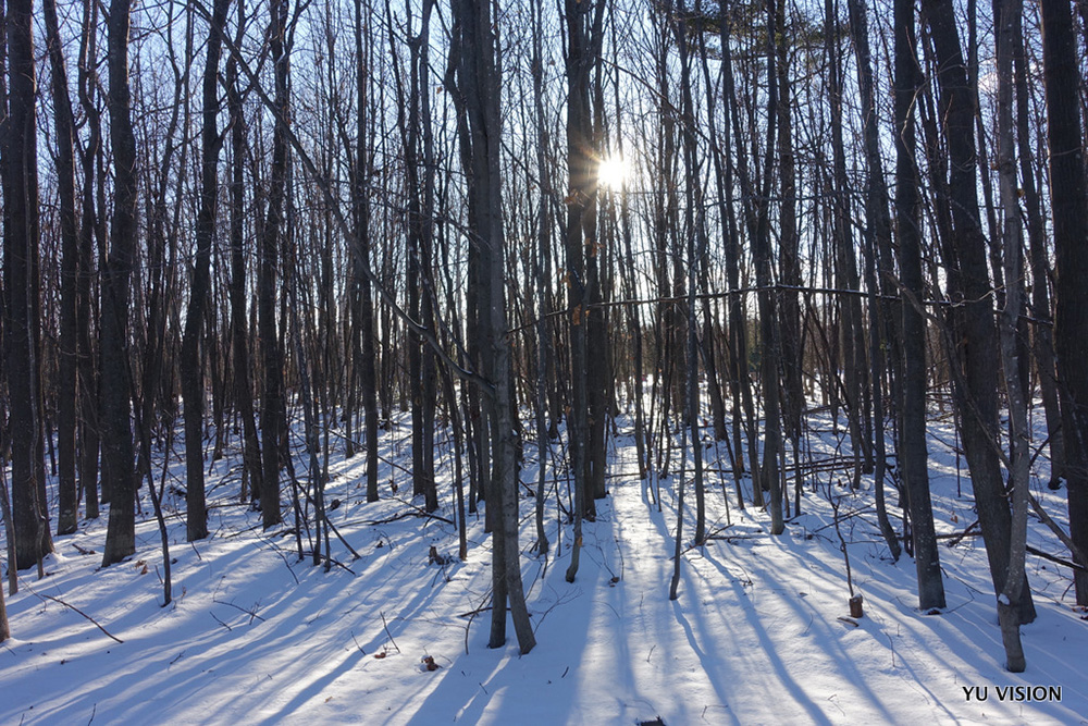 Winter