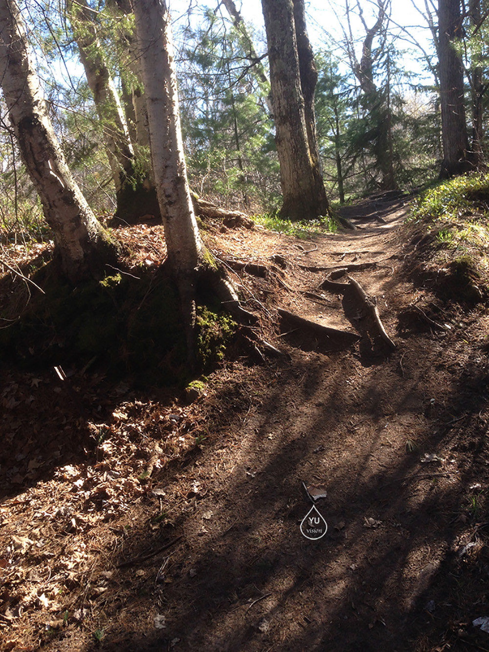 Tech Trails