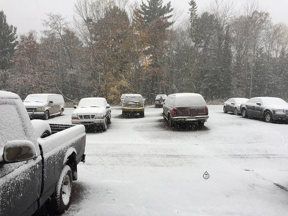 Snowy Morning