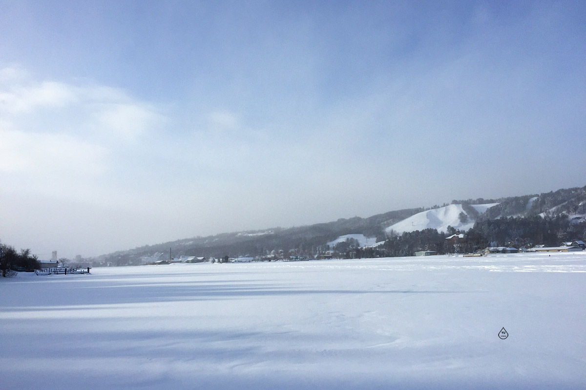 Harsh Winter