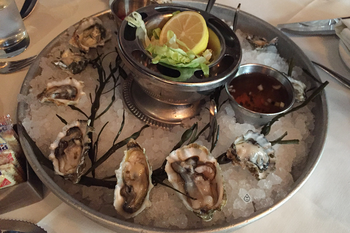 Oyster