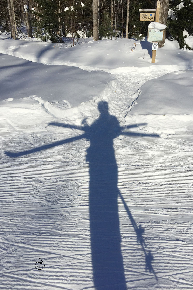 XC Skiing Beginner
