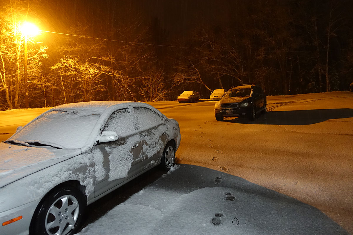 Snow in May