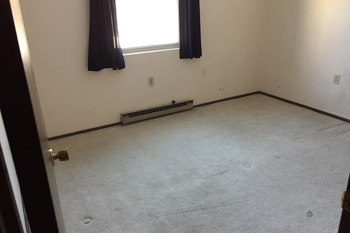 Roommate Clean Out