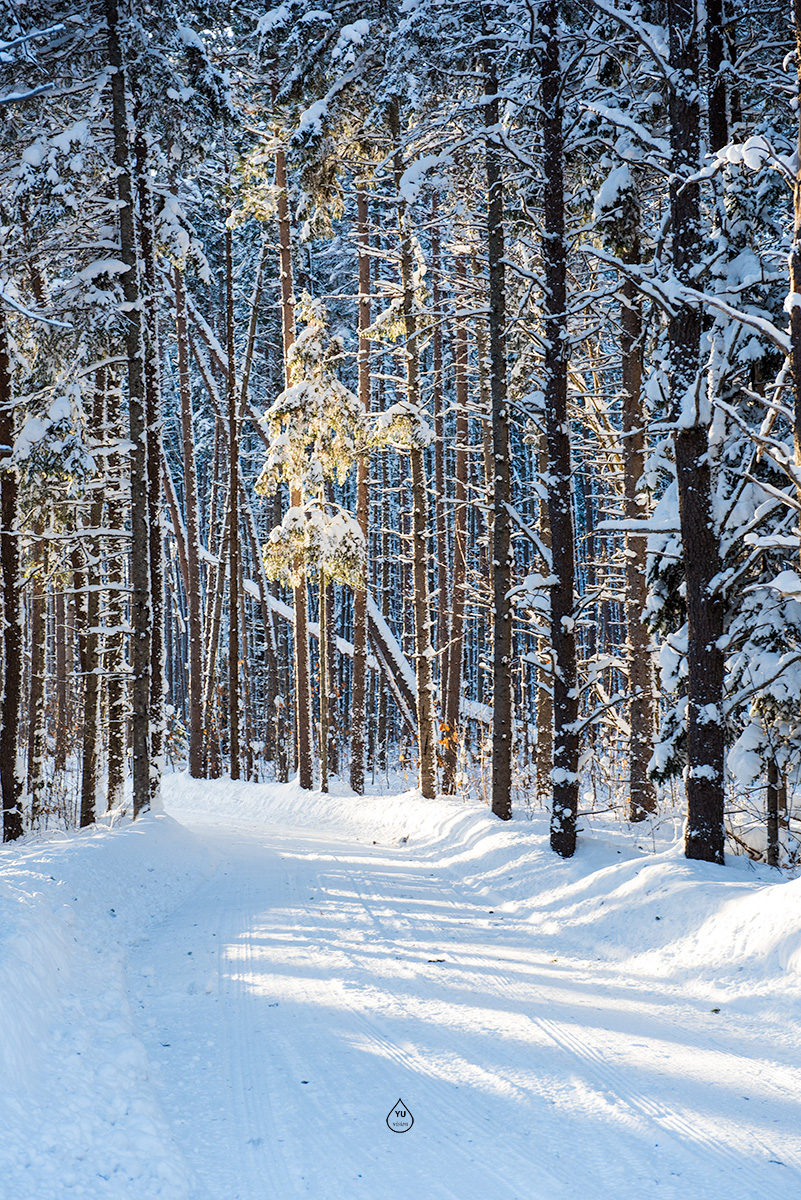 Back Trail