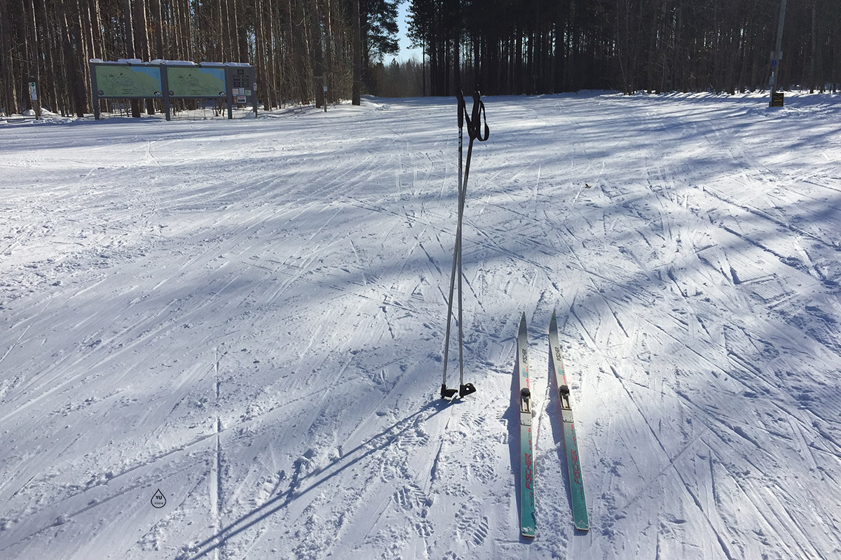 XC Ski Afternoons