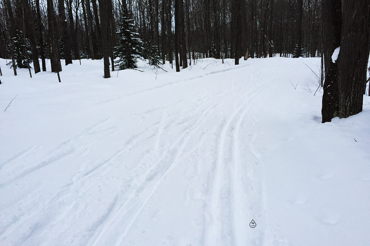 XC Ski Wild Trails