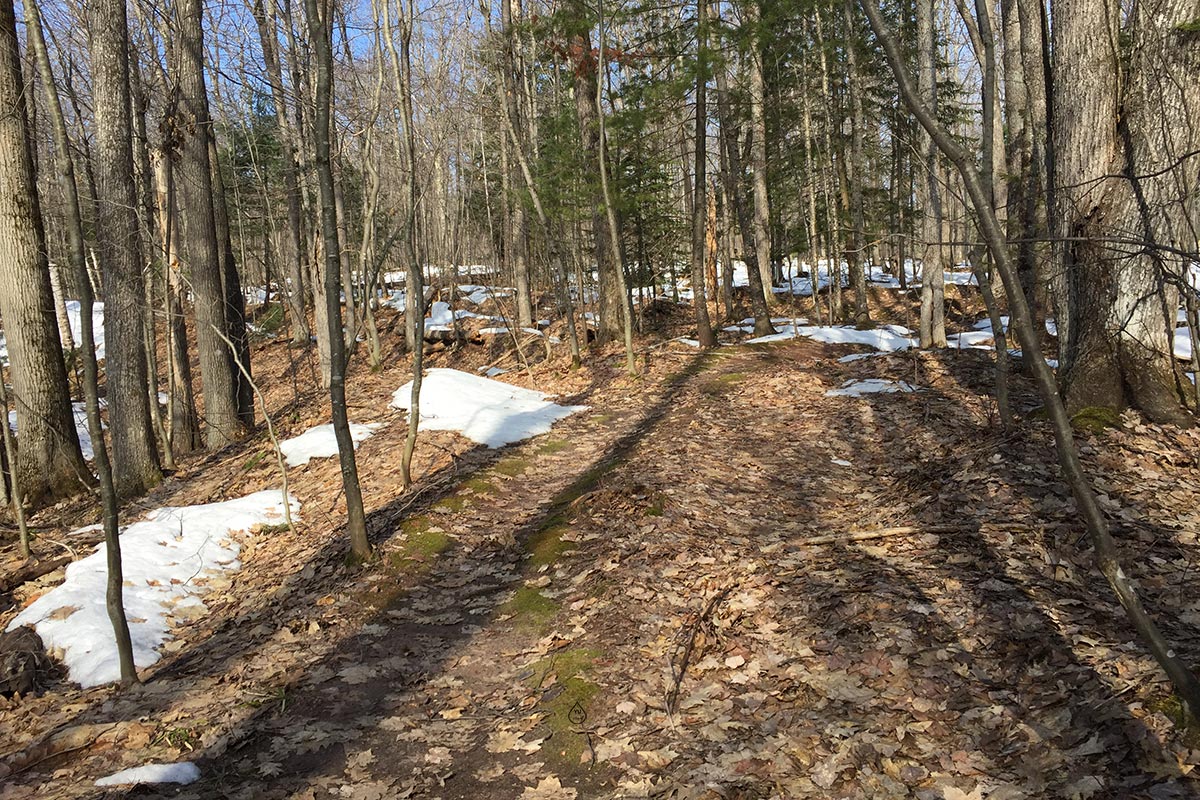 Biking Trail