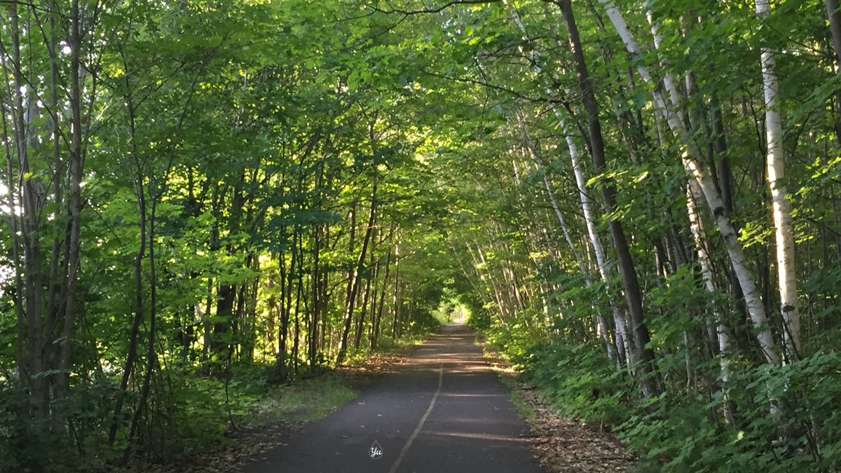 Trail