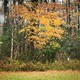 Late Autumn
