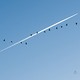 Same Sky