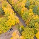 UP Fall