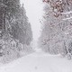 Pre-thanksgiving Snow